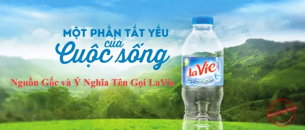 Nguồn Gốc và Ý Nghĩa Tên Gọi LaVie 1 Nguồn Gốc và Ý Nghĩa Tên Gọi LaVie