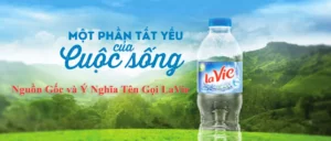 Nguồn Gốc và Ý Nghĩa Tên Gọi LaVie 16 Nguồn Gốc và Ý Nghĩa Tên Gọi LaVie