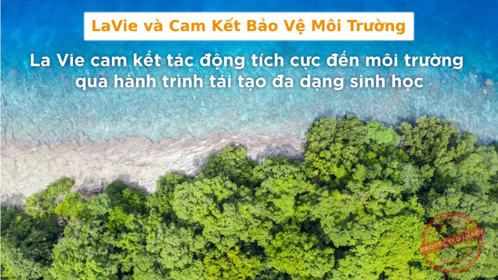 LaVie và Cam Kết Bảo Vệ Môi Trường 1 LaVie Kết Bảo Vệ Môi Trường