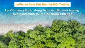 LaVie và Cam Kết Bảo Vệ Môi Trường 13 LaVie Kết Bảo Vệ Môi Trường