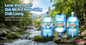 Lavie Viva Là Gì? Giải Mã A-Z Nước Uống Chất Lượng