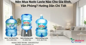 Nên Mua Nước Lavie Nào Cho Gia Đình, Văn Phòng? Hướng Dẫn Chi Tiết