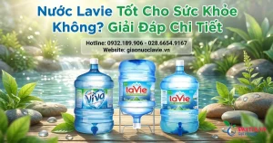 Nước Lavie Tốt Cho Sức Khỏe Không? Giải Đáp Chi Tiết